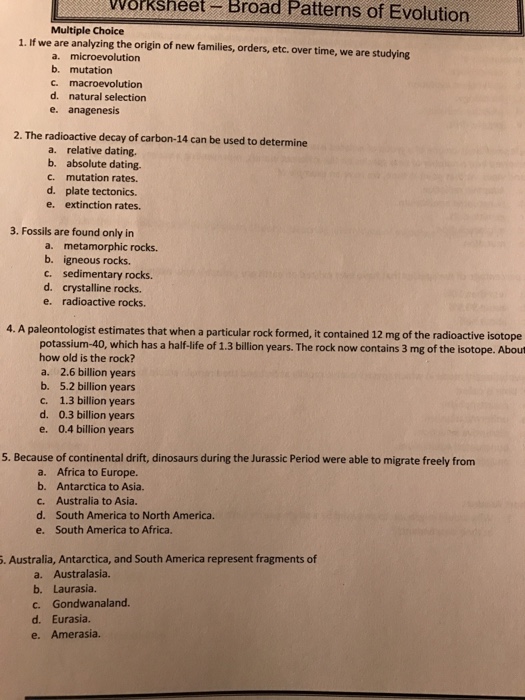 solved-study-guide-for-midterms-in-biology-ii-he-doesn-t-chegg