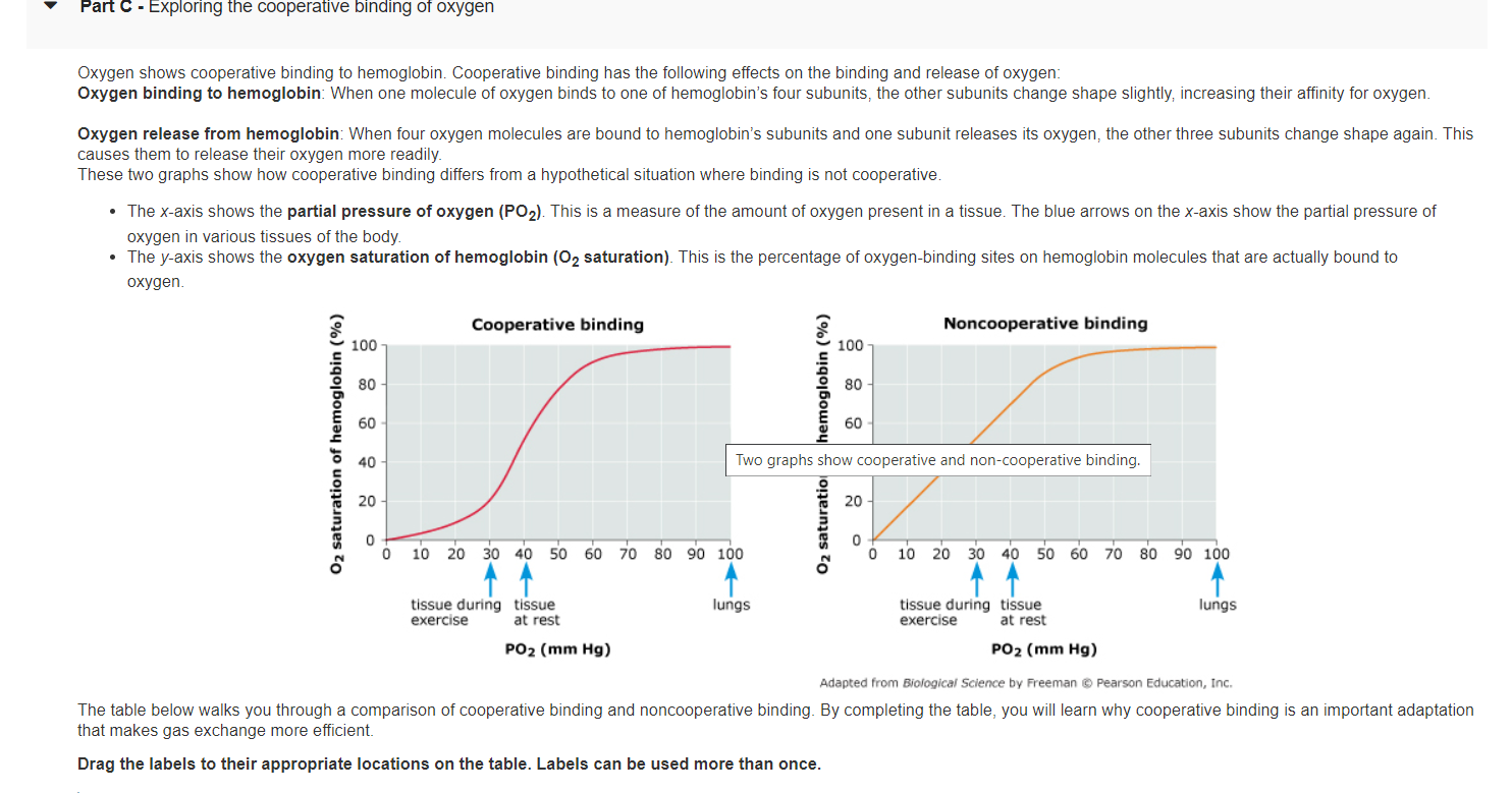 Solved Oxygen shows cooperative binding to hemoglobin. | Chegg.com