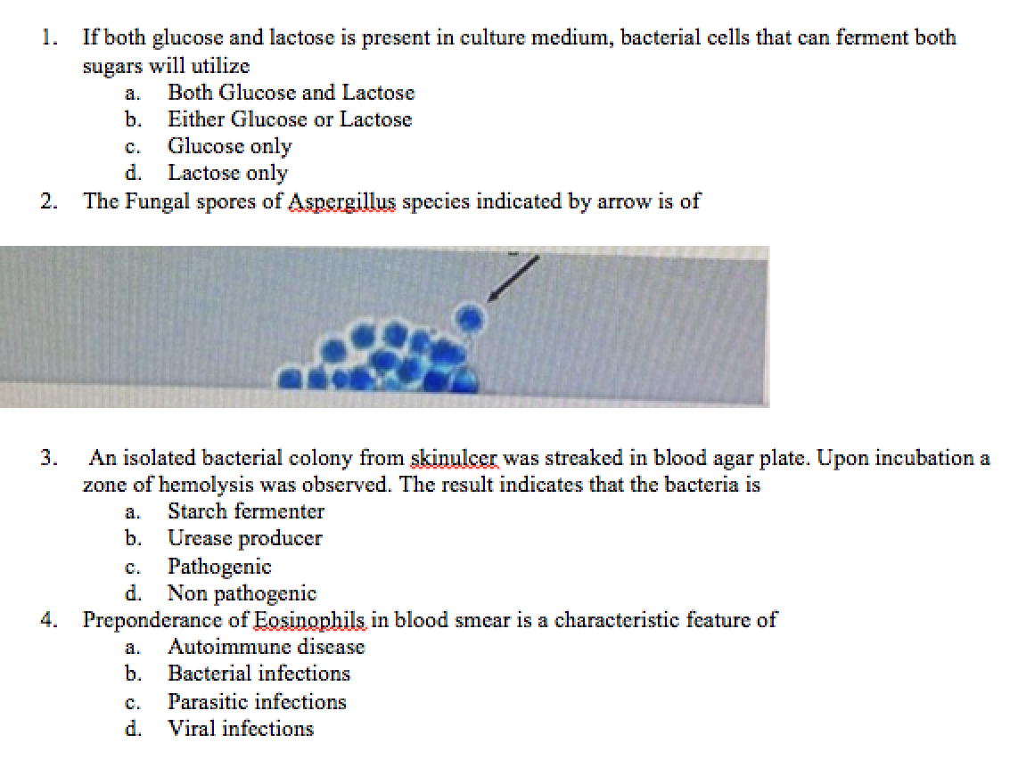 Solved 1. If both glucose and lactose is present in culture | Chegg.com