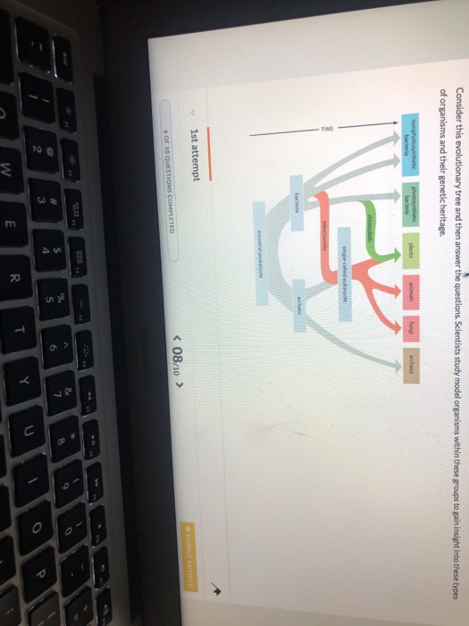 Solved Consider this evolutionary tree and then answer the | Chegg.com