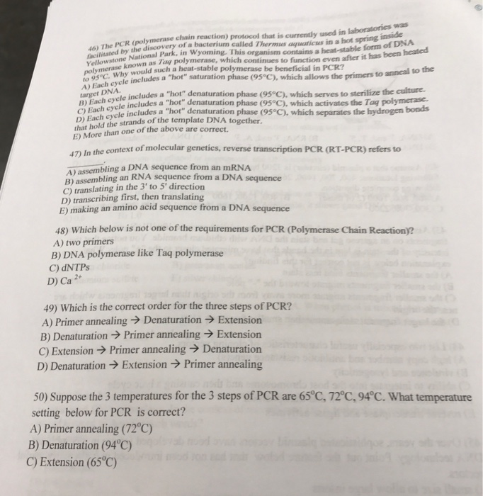 Solved The PCR (polymerase chain reaction) protocol that is | Chegg.com