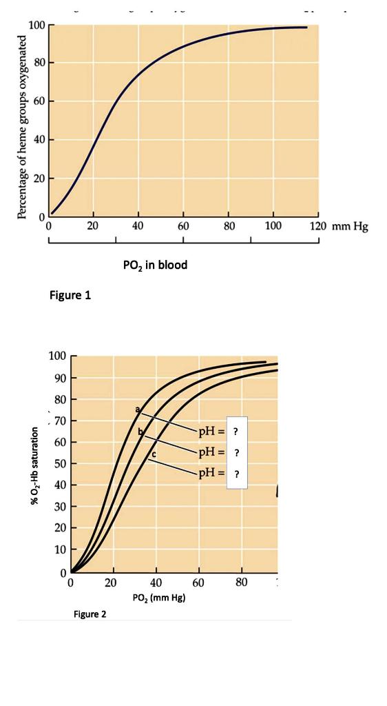 Solved A)This question refers to Figure 3. Blood in | Chegg.com