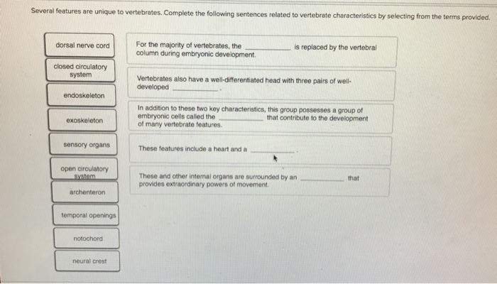 Solved Several features are unique to vertebrates. Complete | Chegg.com