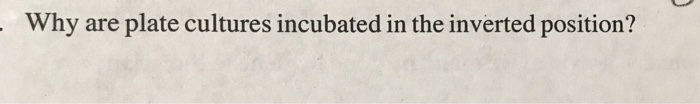 Solved Why are plate cultures incubated in the inverted | Chegg.com