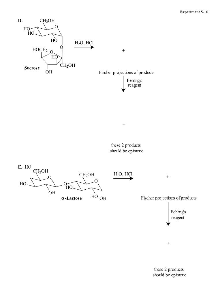 Solved Experiment 5-10 D. CH OH HO HO HO HO, HCI HOCH + O 0. | Chegg.com