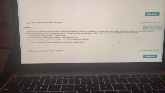 Solved Question Completion Status Close Window Question 6 2 | Chegg.com
