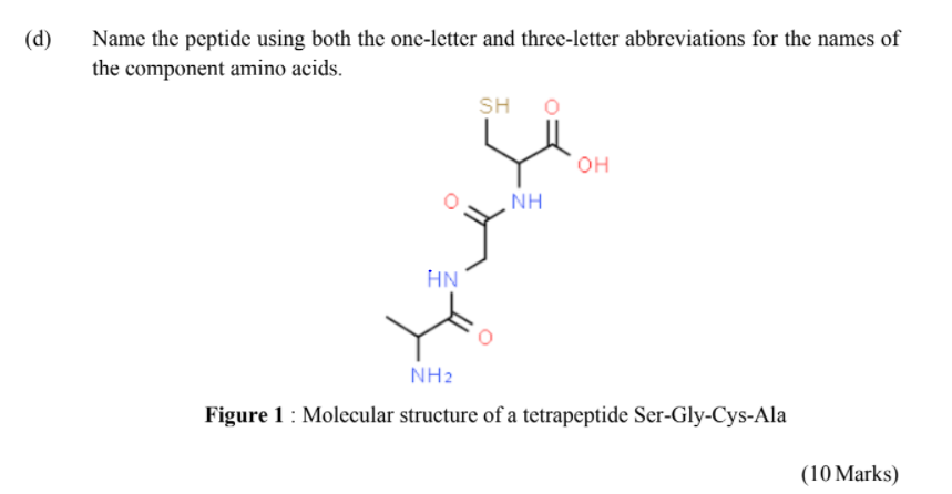 Solved (d (d) Name the peptide using both the one-letter and | Chegg.com