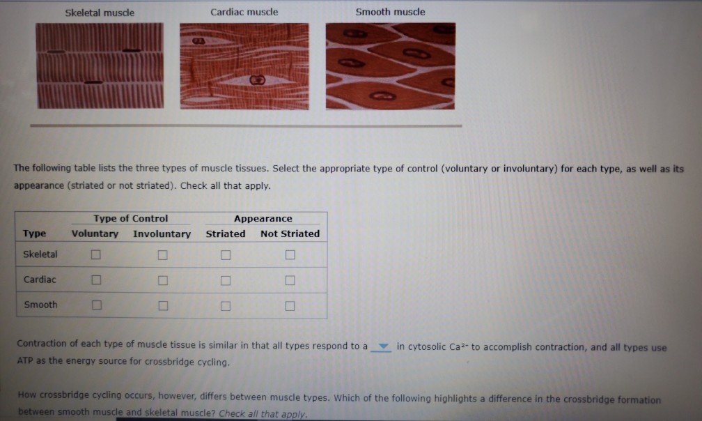 What Type Of Muscle Cannot Be Controlled Voluntarily