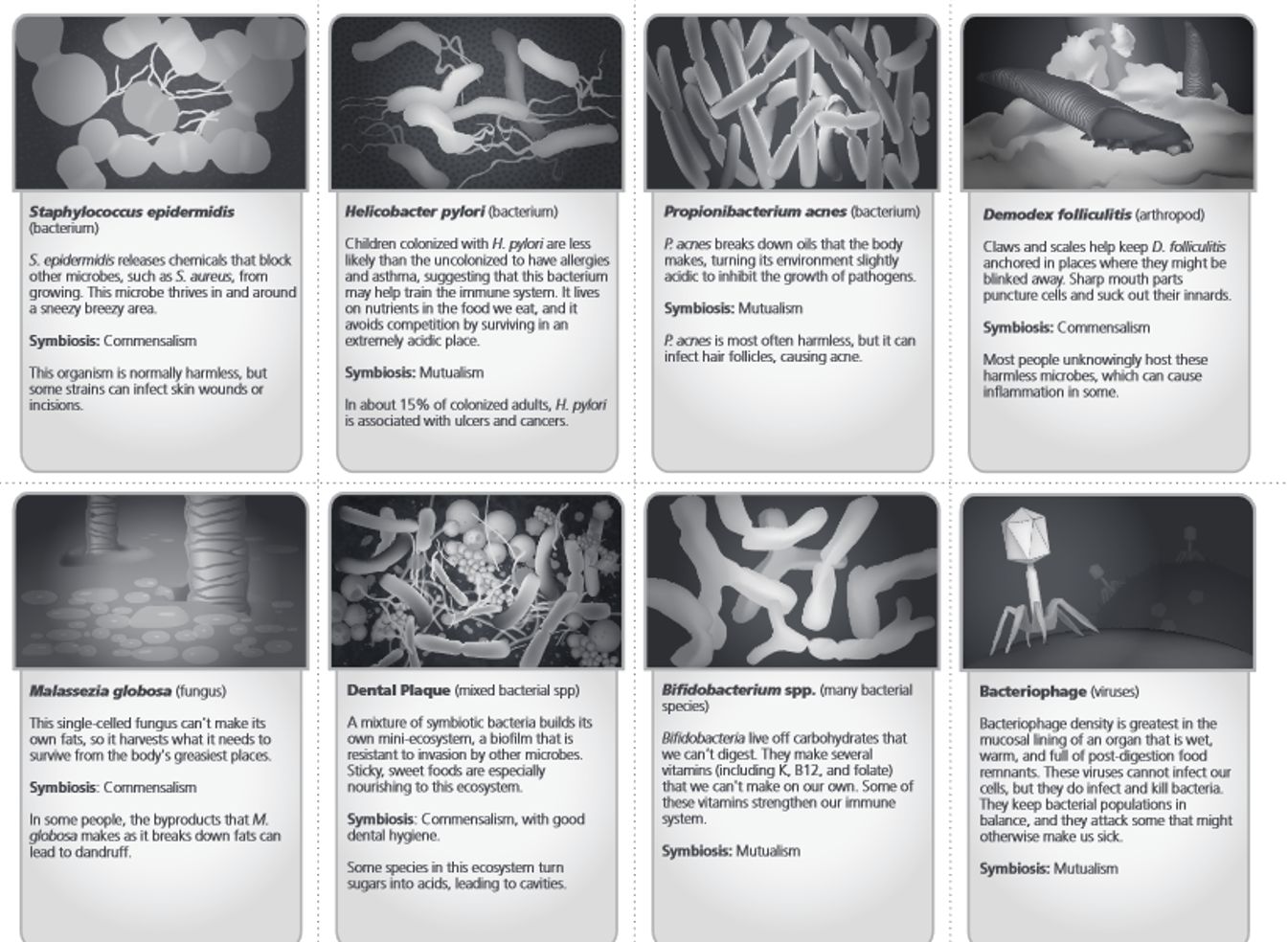 Solved Use the eight cards at the end of this assignment and | Chegg.com