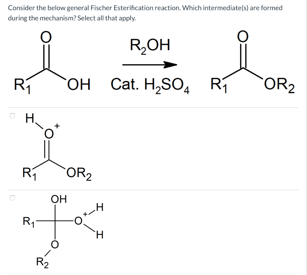 Solved Consider The Below General Fischer Esterification