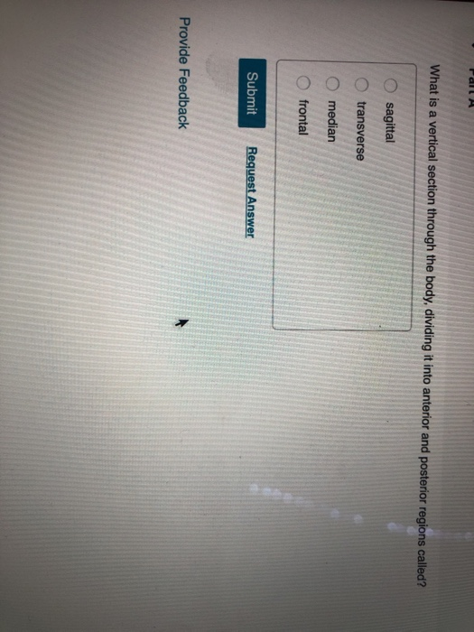 Solved Part A What is a vertical section through the body, | Chegg.com