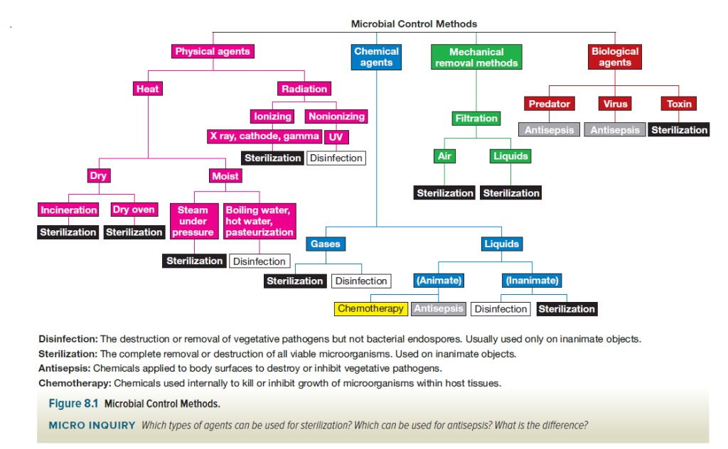 Growth control. Microbial база данных. Mechanical antisepsis. Microbiology Chapter 10 controlling Microbial growth. Physical method.