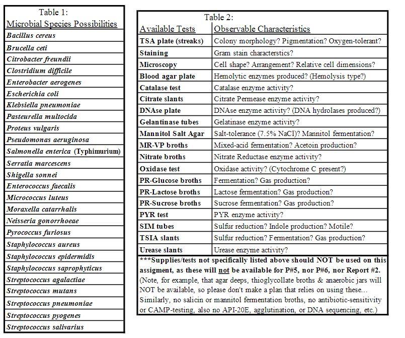 Please help create a CORRECT dichotomous key given | Chegg.com