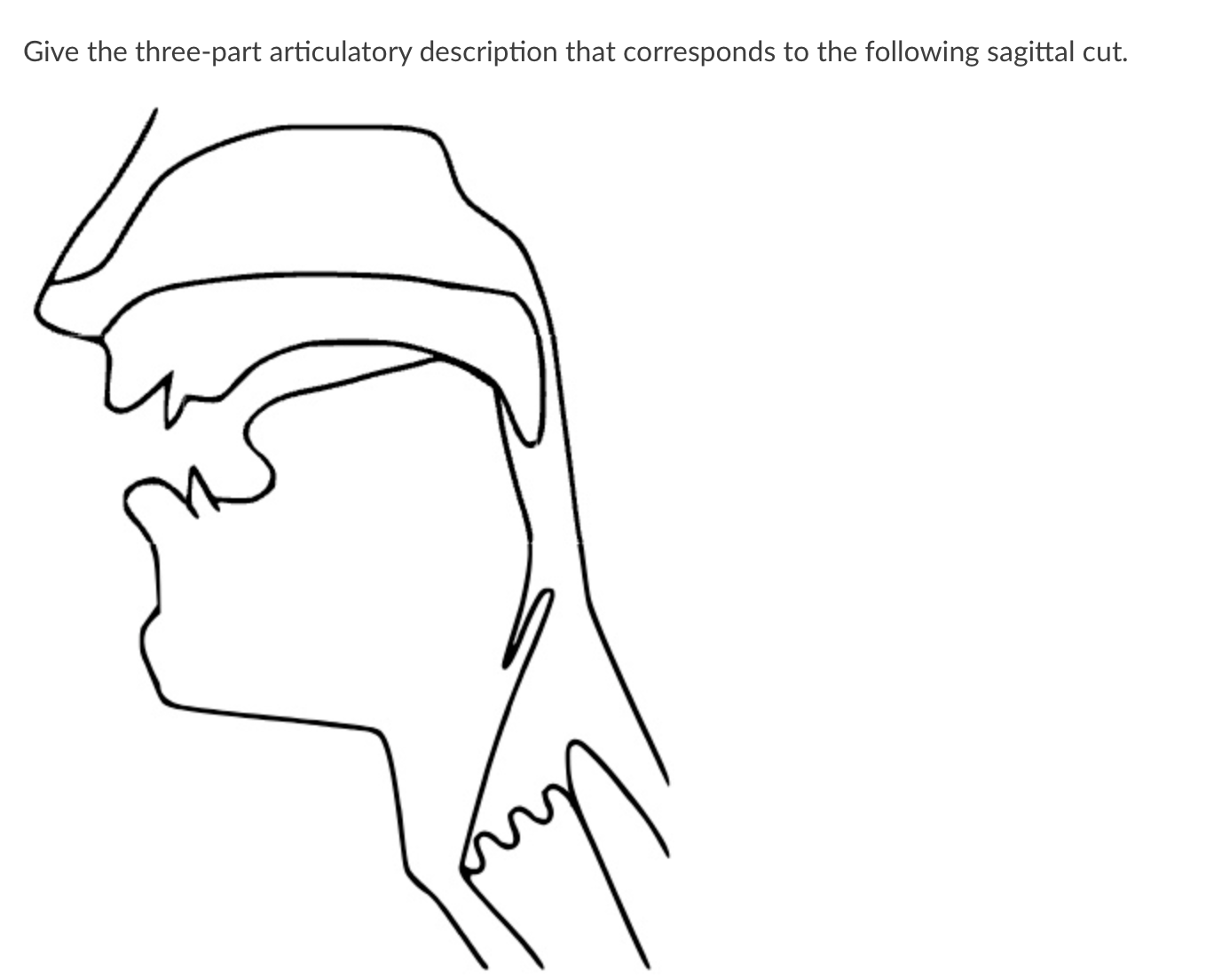 Solved Voiced Or VoicelessGive The Three Part Articulatory Chegg Com   Screenshot2024 02 02at23.16.15 