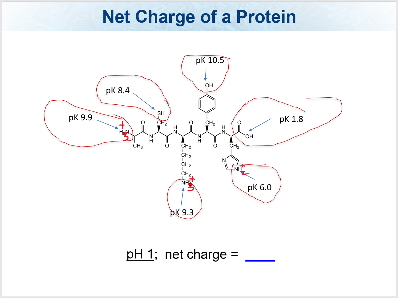 Solved Biochemistry 421 Question. Can someone just explain | Chegg.com