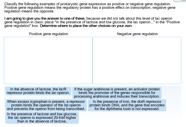 Solved Classify the following examples of prokaryotic gene | Chegg.com