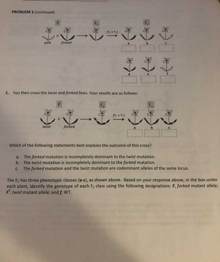 Solved PROBLEM 1. INCOMPLETE DOMINANCE AND CODOMINANCE. You | Chegg.com