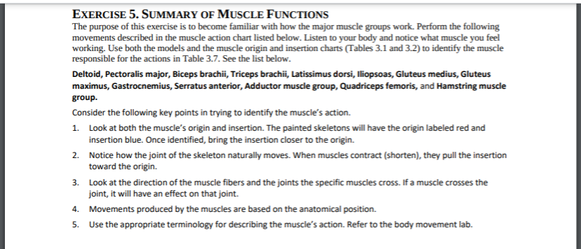 Solved EXERCISE 5. SUMMARY OF MUSCLE FUNCTIONS The purpose | Chegg.com