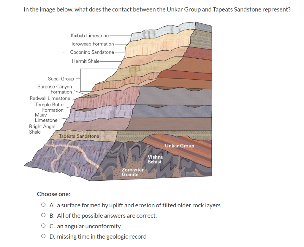 Solved In the image below, what does the contact between the | Chegg.com