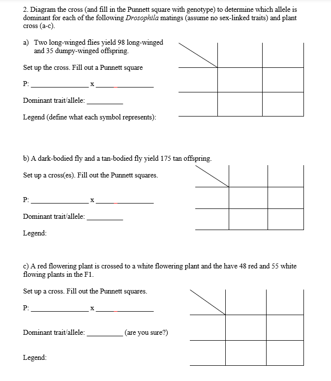 Solved 2. Diagram the cross (and fill in the Punnett square | Chegg.com
