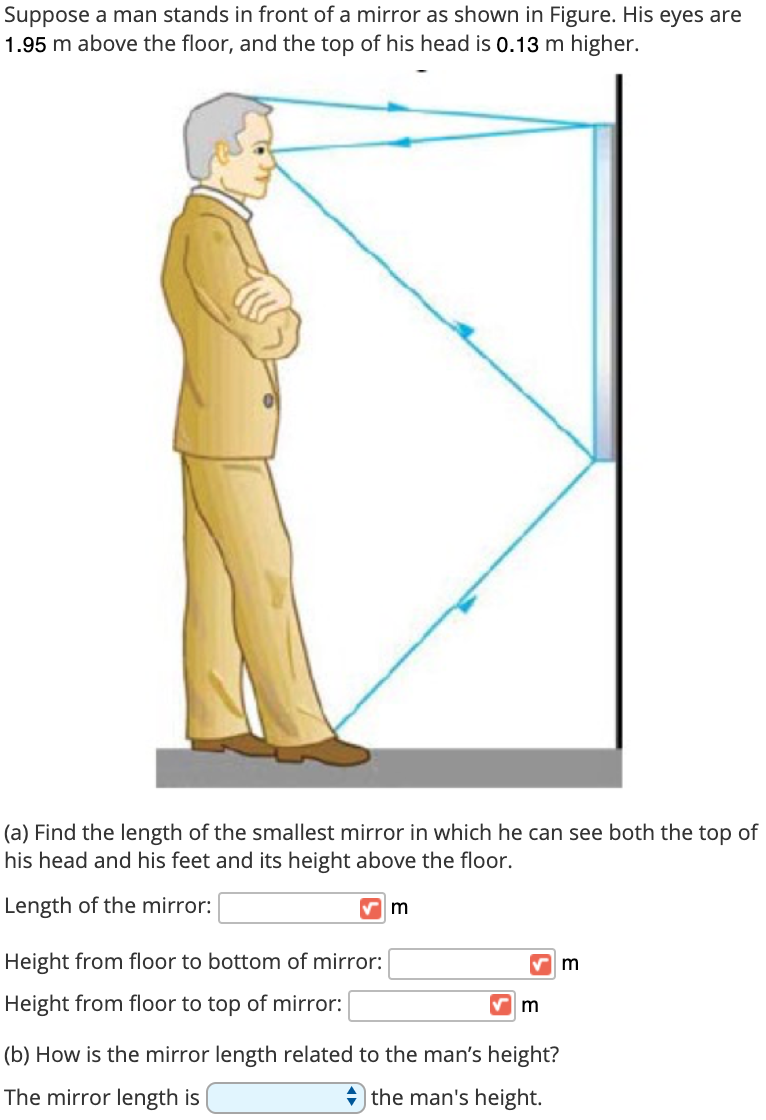 Solved Suppose A Man Stands In Front Of, How High Should A Mirror Be Off The Floor