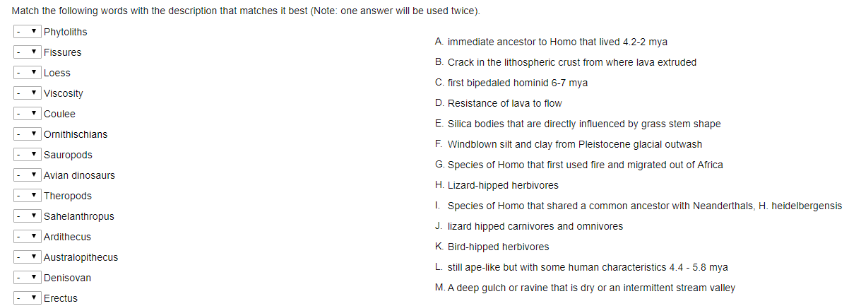 Solved Match The Following Words With The Description That Chegg