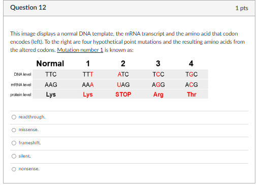 Solved This image displays a normal DNA template, the mRNA | Chegg.com