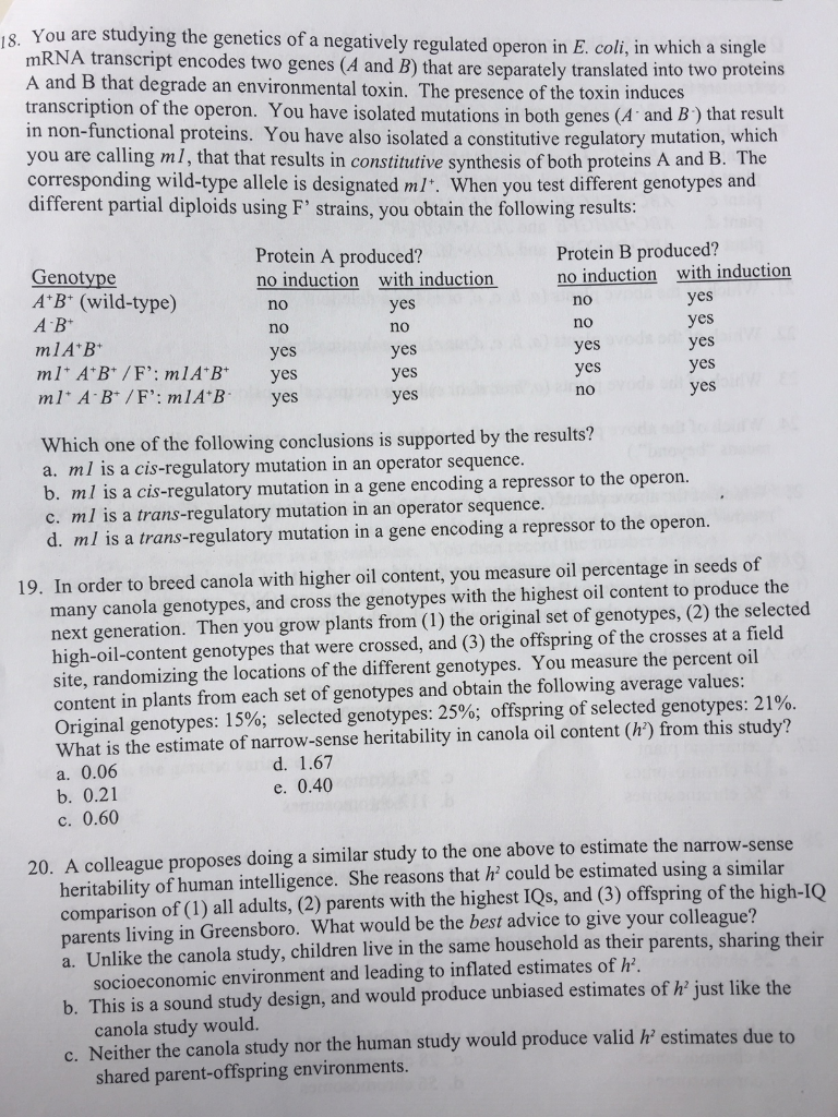 Solved You are studying the genetics of a negatively | Chegg.com