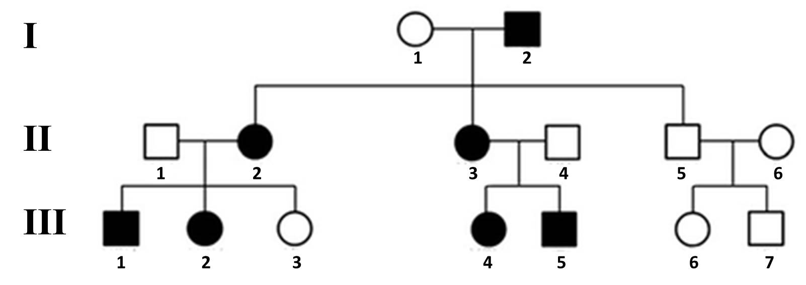 Solved Fragile X syndrome is a genetic condition that causes | Chegg.com