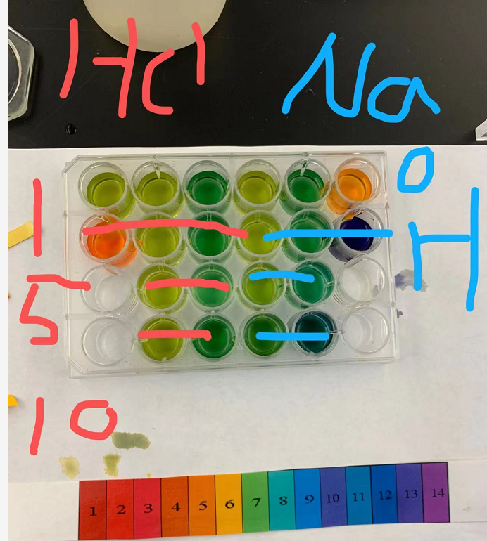 Solved Procedure Part B Biological Phosphate Buffers 10)