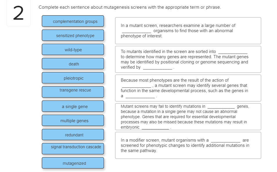 solved-complete-each-sentence-about-mutagenesis-screens-with-chegg