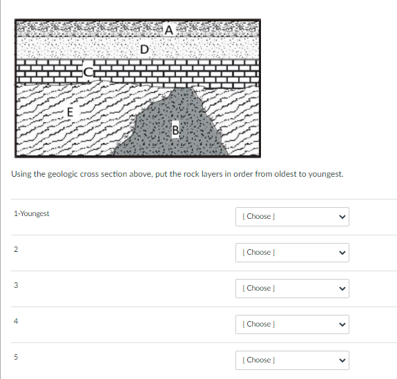 Solved D CE Using the geologic cross section above, put the | Chegg.com
