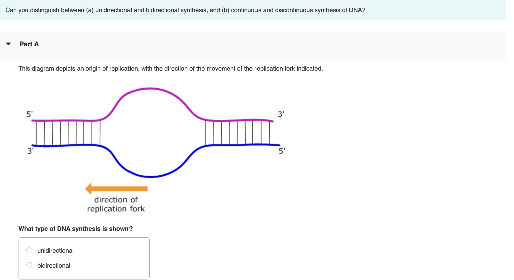 Solved Compare conservative, semiconservative, and | Chegg.com