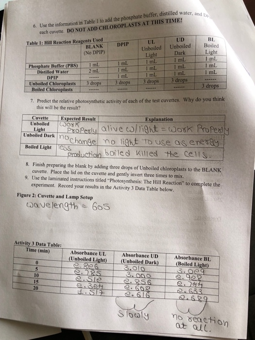 Solved 1 Answe the question 2 calculate rate of