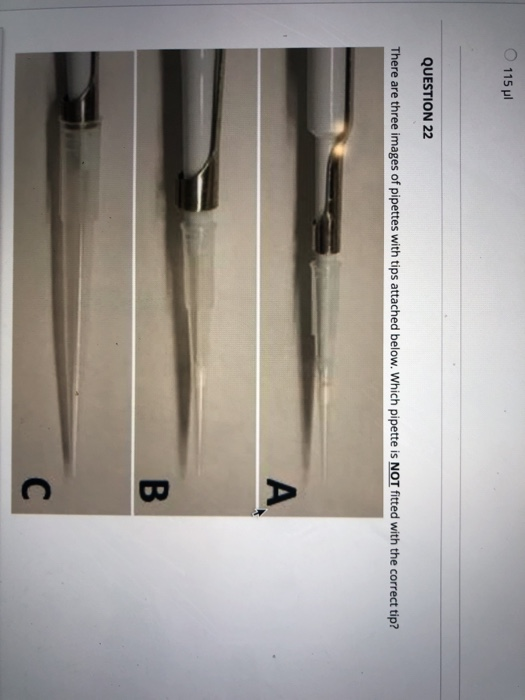 Solved 115μ1 QUESTION 22 There are three images of pipettes