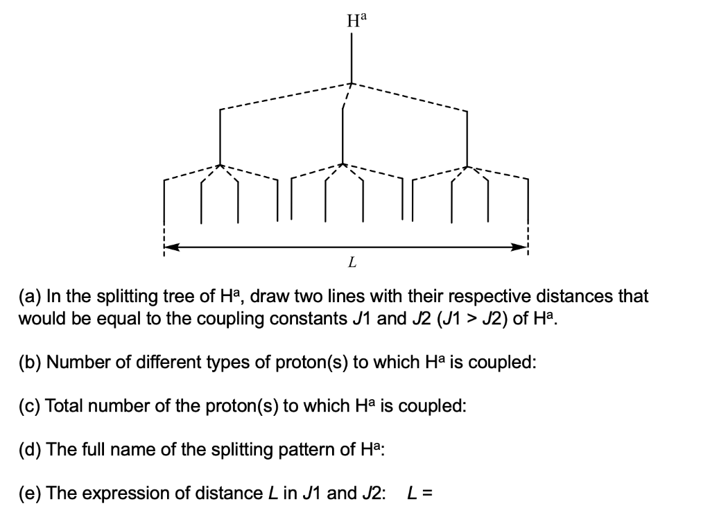 Solved На L (a) In the splitting tree of Ha, draw two lines | Chegg.com
