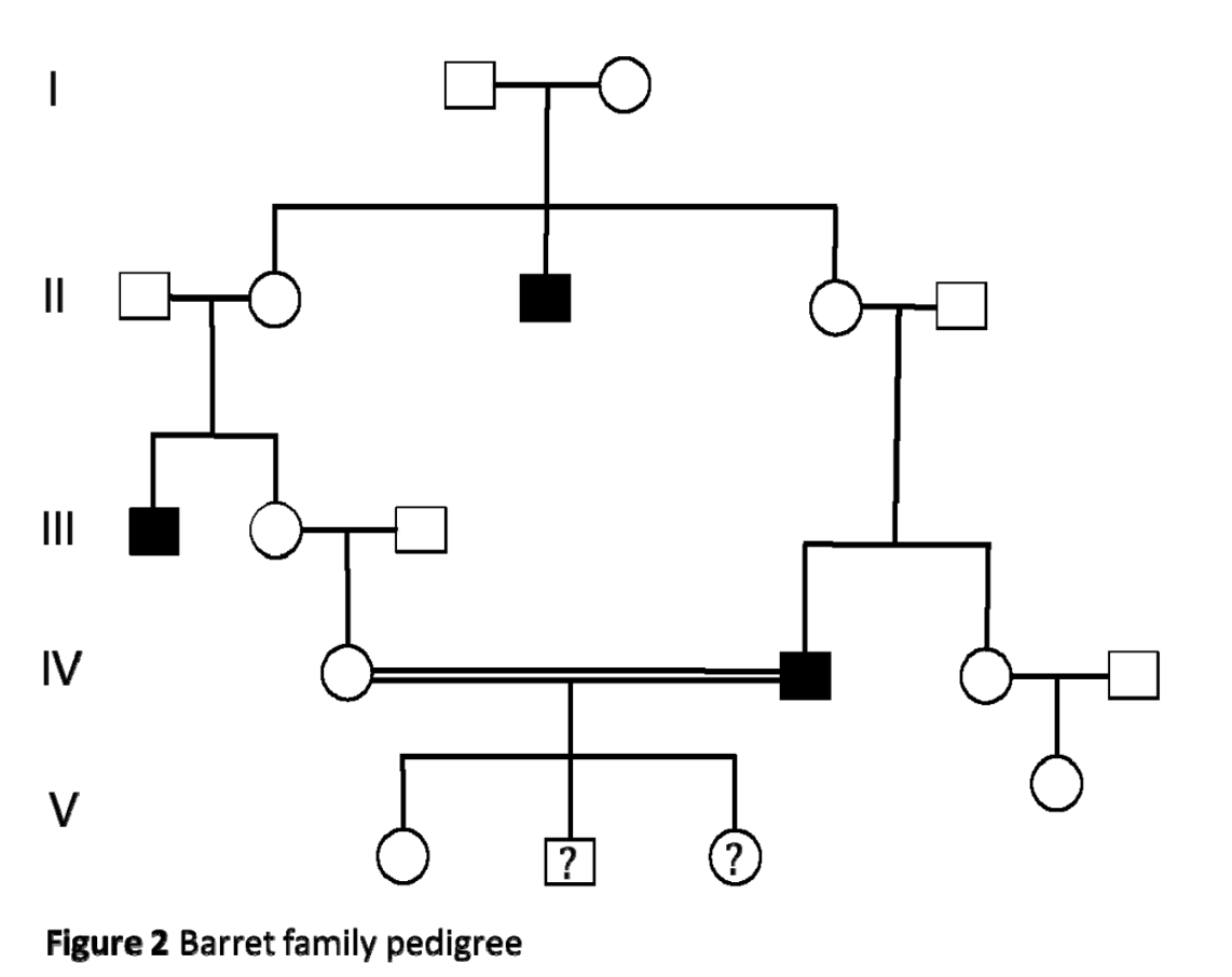 Solved The Barret family, whose pedigree is shown in Figure | Chegg.com