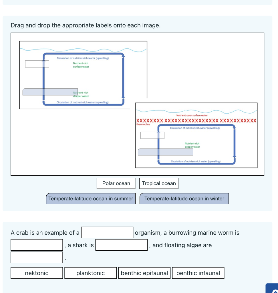 Solved Drag and drop the appropriate labels onto each image. | Chegg.com