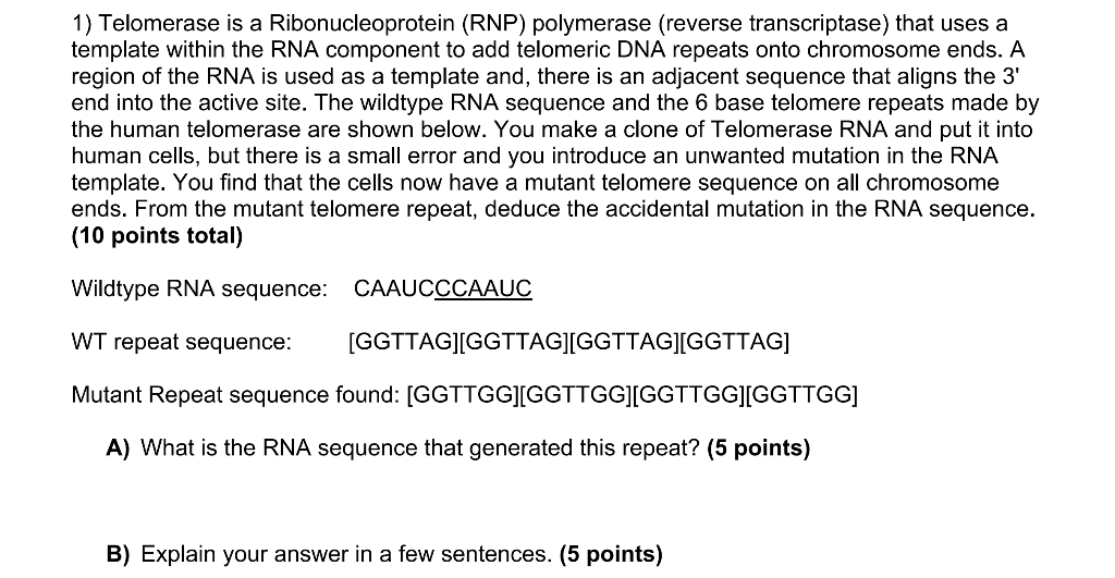 Solved 1) Telomerase is a Ribonucleoprotein (RNP) polymerase | Chegg.com