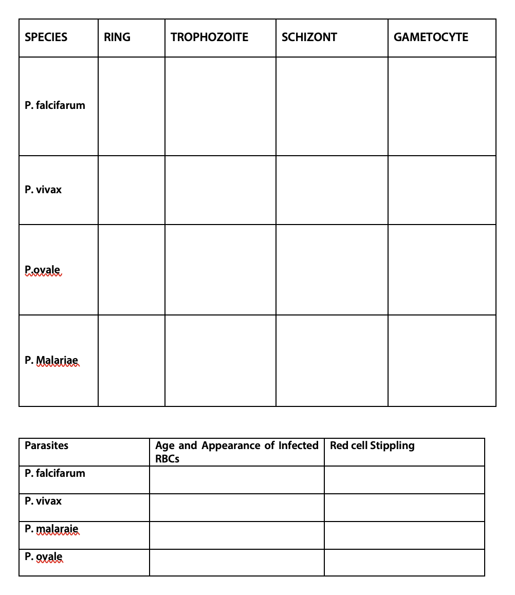 Solved SPECIES RING TROPHOZOITE SCHIZONT GAMETOCYTE P. | Chegg.com