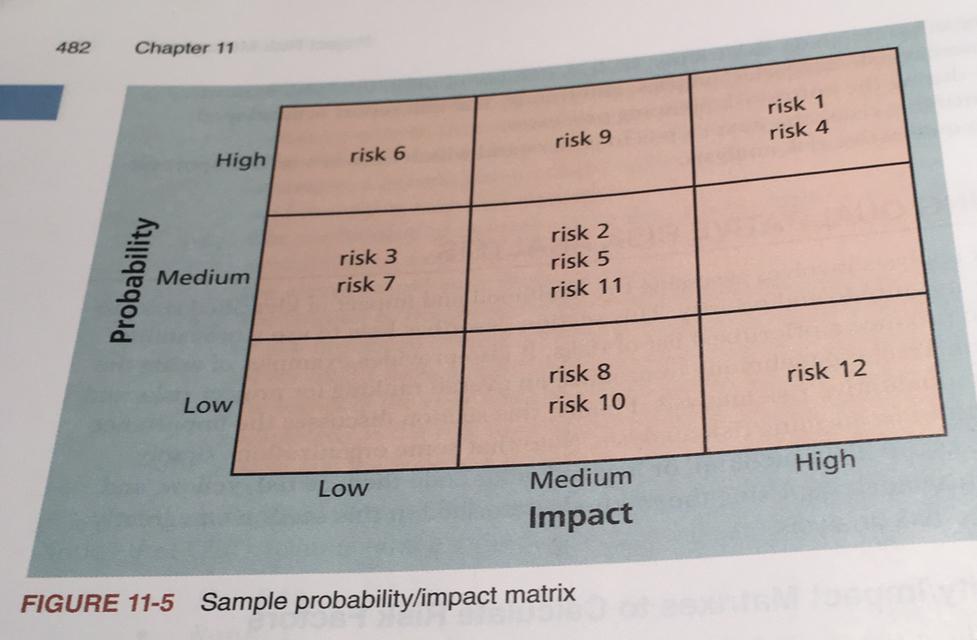TABLE 114 Sample risk register Rank Risk Description