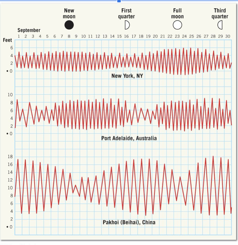 Solved On Figure 6, label the times of spring tide and Times | Chegg.com