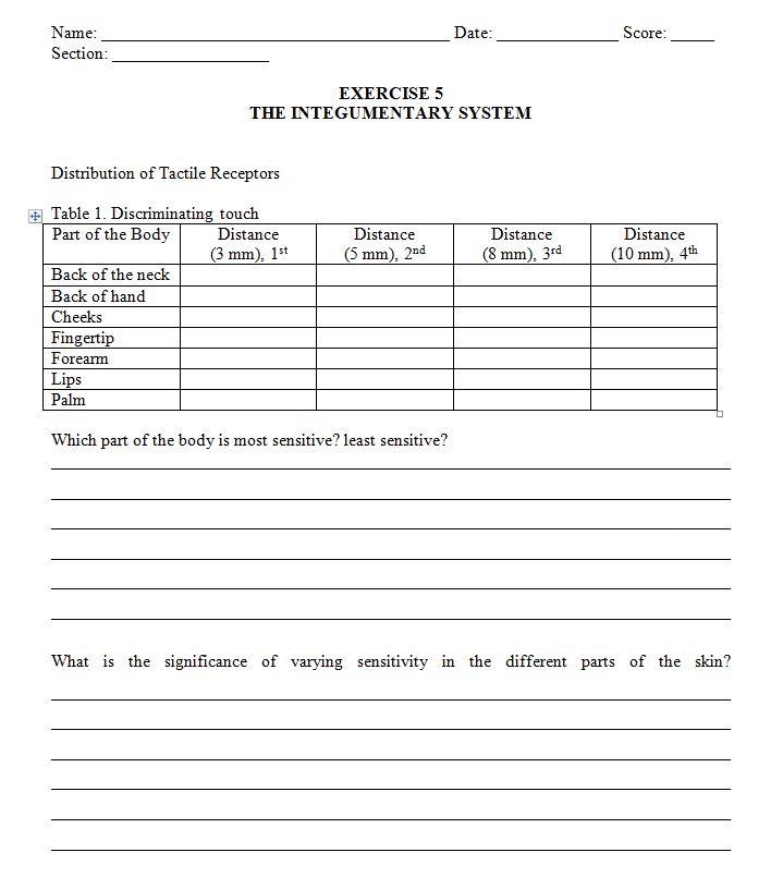 Solved Date: Score: Name: Section: EXERCISE 5 THE | Chegg.com