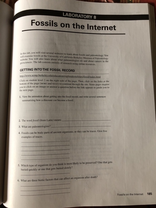 Solved LABORATORY 8 Fossils On The N This Lab. Y...