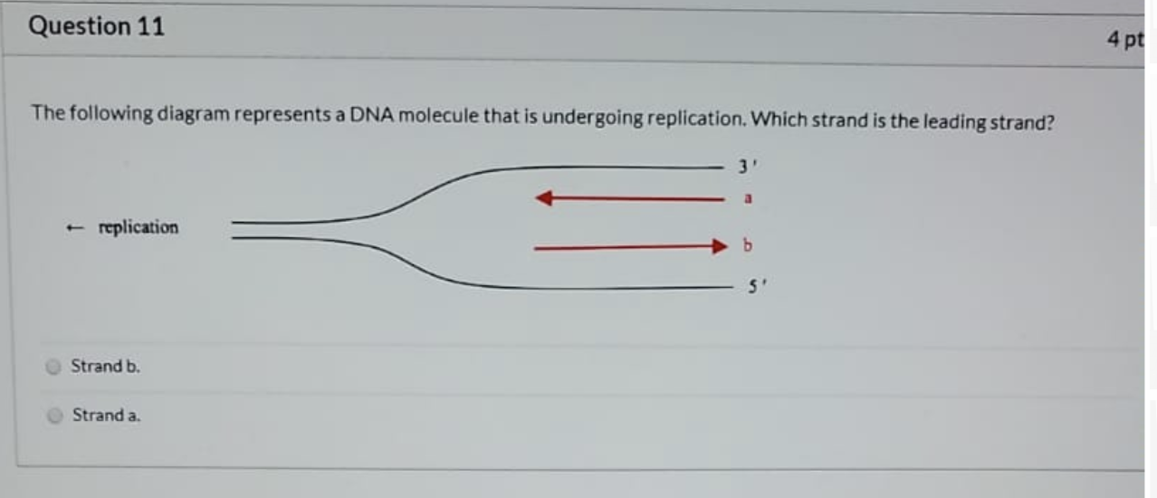 Solved Question 11 4 pt The following diagram represents a | Chegg.com