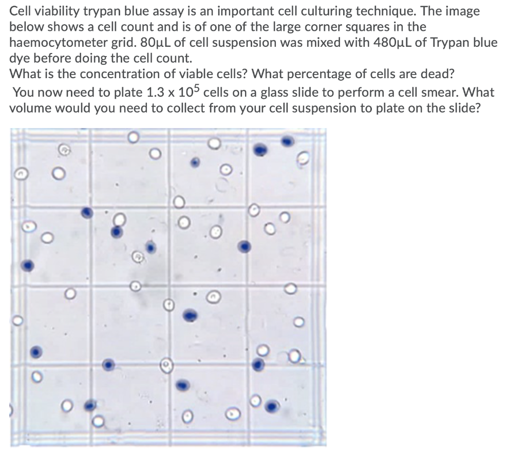 Solved Cell viability trypan blue assay is an important cell | Chegg.com