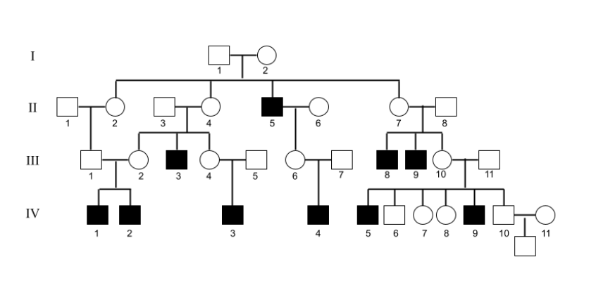 Solved Examine the pedigree below, which depicts the | Chegg.com