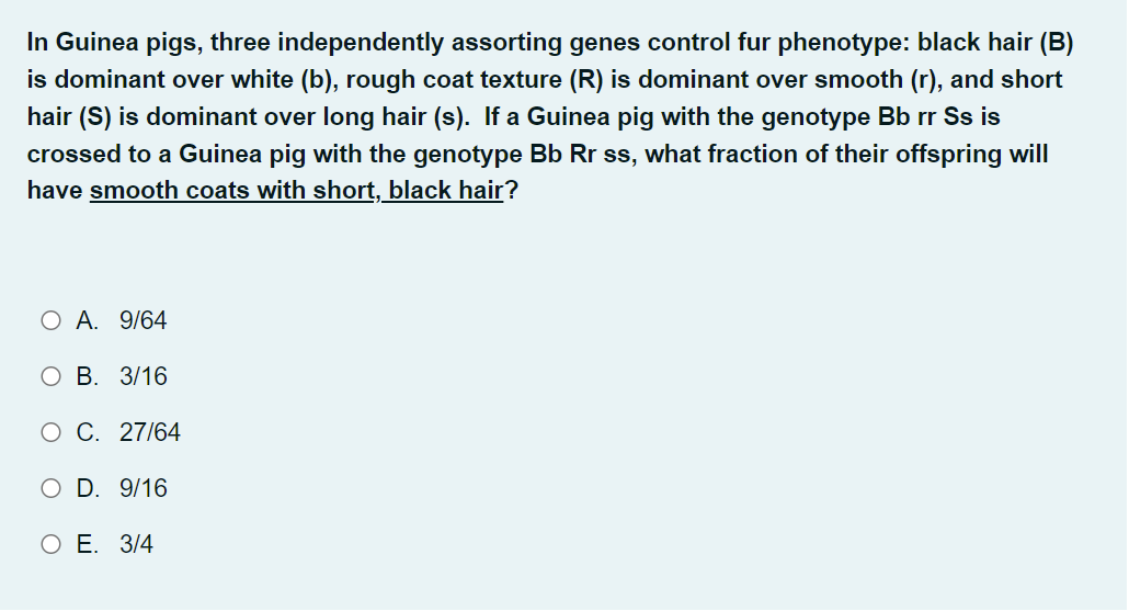 Solved In guinea pigs, black coat (B) is dominant over white