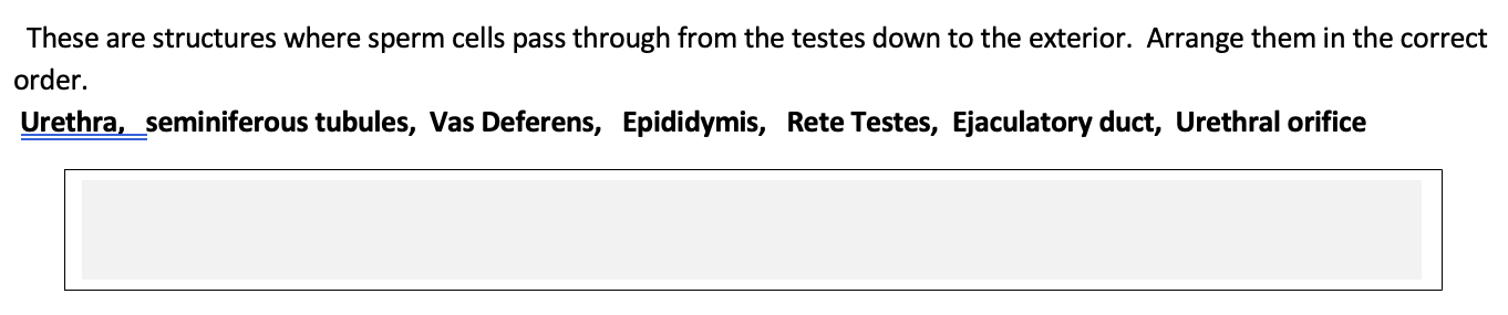 passageway of the sperm cells released from the testes
