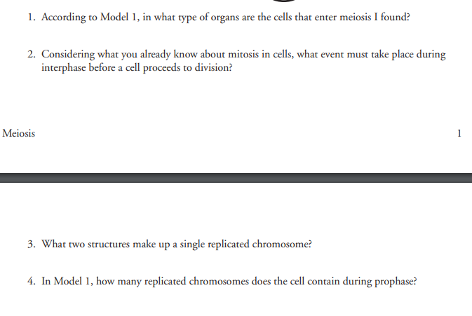 Solved Model 1 Meiosis I Sister Chromatids Single Chrom Chegg Com
